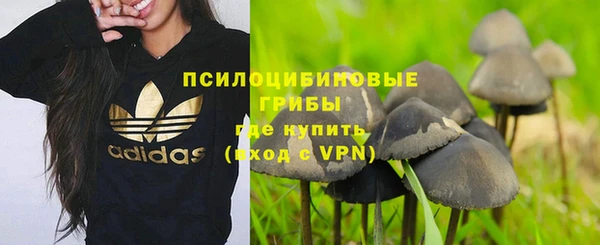 стафф Алзамай