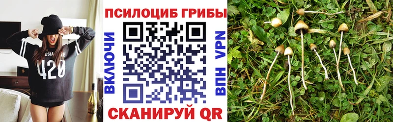 Галлюциногенные грибы прущие грибы  купить наркоту  Шебекино 